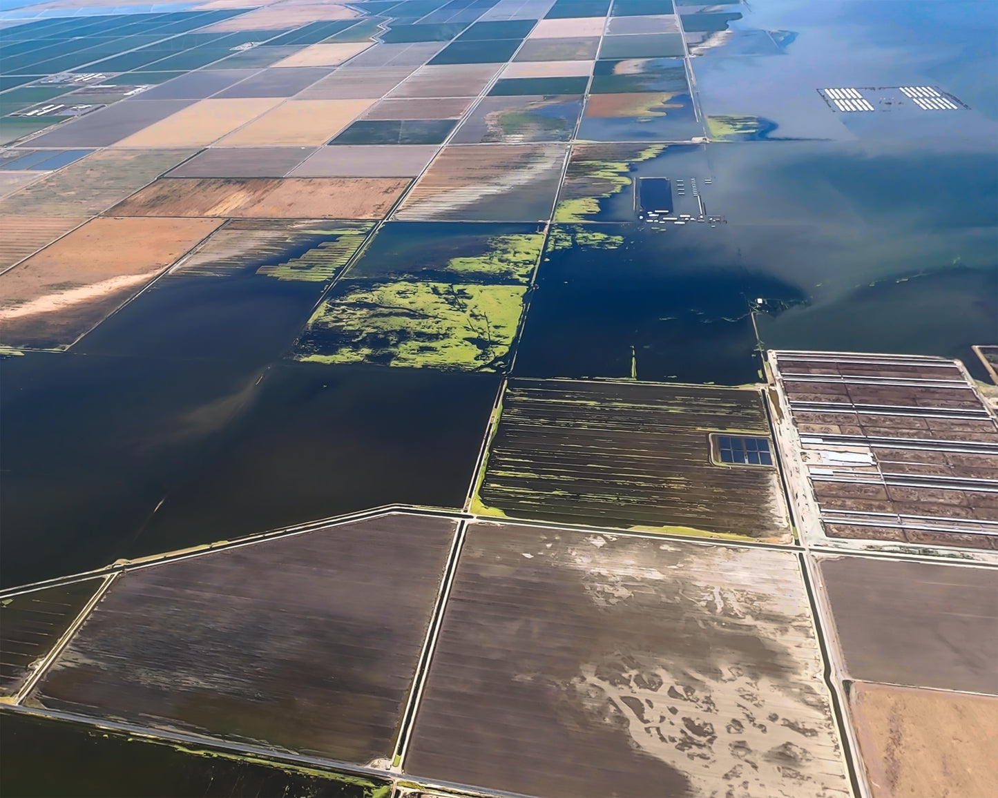 Lac Tulare : eau et terre